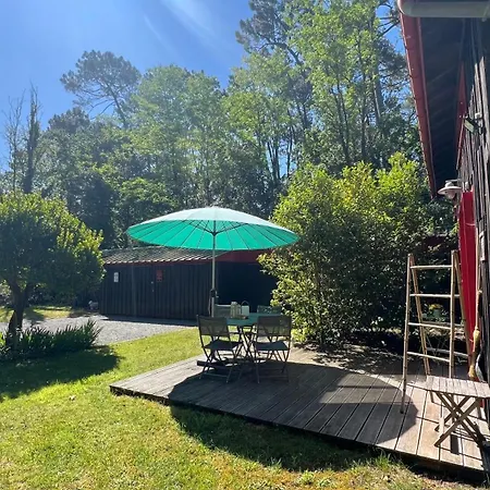 La Grange Au Beau Milieu Des Pins * Lacanau